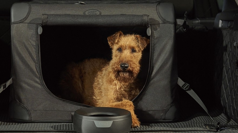 Land Rover Discovery получил пару особенных версий в честь юбилея