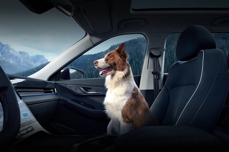 Jaecoo J5 скоро «зашагает» по миру: кроссовер доберётся и до России