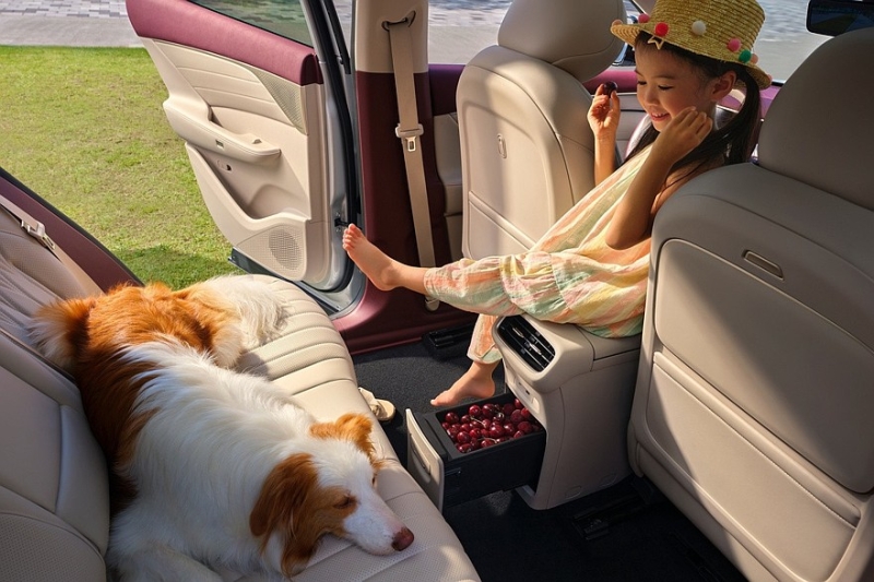 Dongfeng Aeolus L8 предложен с привлекательными ценами, кроссовер планируют привезти в РФ